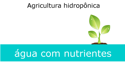 agricultura-hidroponica