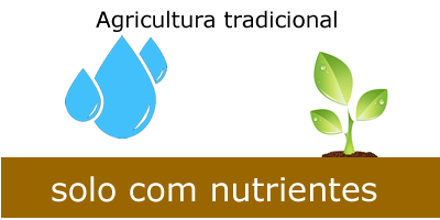 agricultura-tradicional